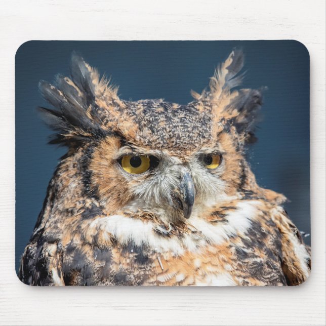 Mousepad Retrato de Coruja excelente (Frente)