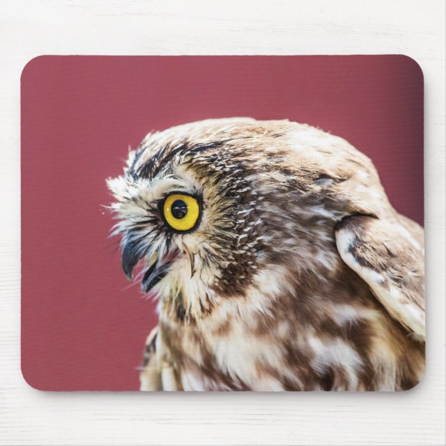 Mousepad Retrato de Coruja norte (Frente)