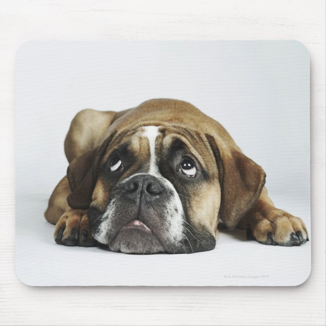 Mousepad Retrato de Dorset Old Tyme Bulldog (Frente)