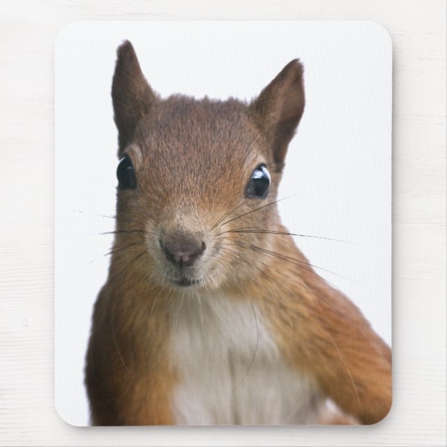 Mousepad Retrato de Esquilo Mousemat (Frente)