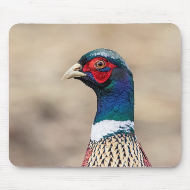 Mousepad Retrato de faisão (Frente)
