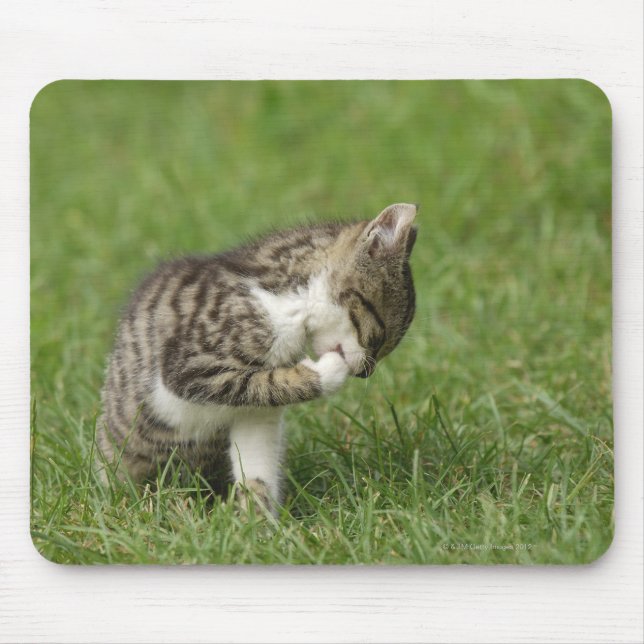 Mousepad Retrato de Gato (Frente)