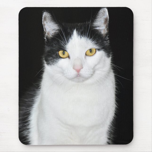 Mousepad Retrato de Gato Preto e Branco (Frente)
