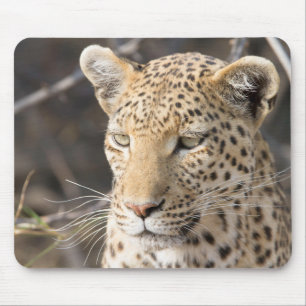 Mousepad Retrato de leopardo