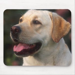 Mousepad Retrato de Retriever de Labrador, Hilton
