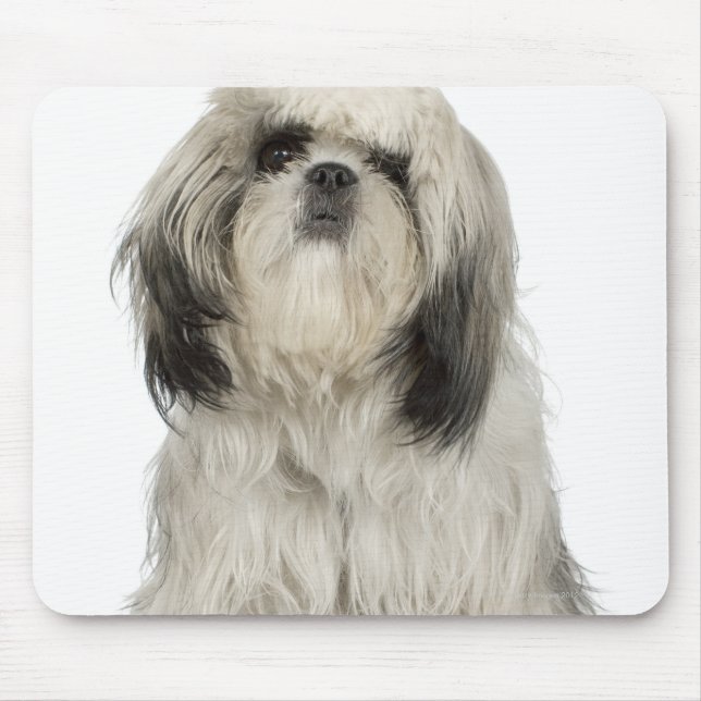 Mousepad Retrato de Tibetano Terrier puppy (Frente)