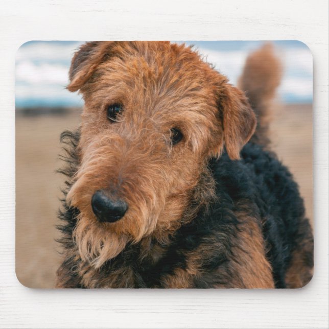 Mousepad Retrato de um Airedale Terrier (Frente)