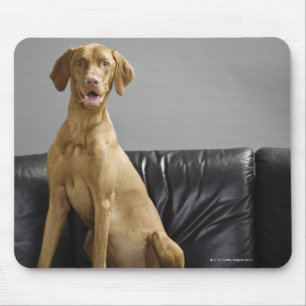 Mousepad Retrato de um cão
