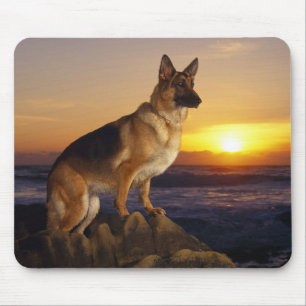Mousepad Retrato de um cão de german shepherd ou de um
