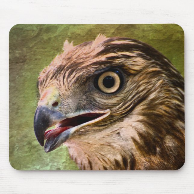 Mousepad Retrato de um falcão (Frente)