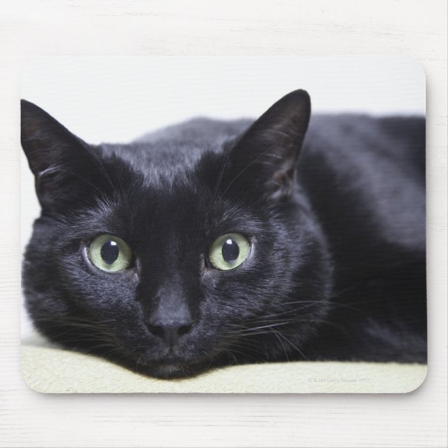 Mousepad Retrato de um Gato (Frente)