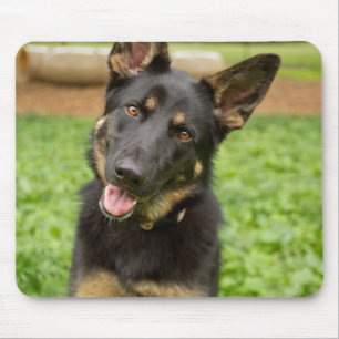 Mousepad Retrato de um German shepherd