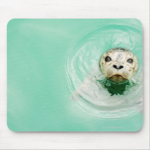 Mousepad Retrato de um selo na água
