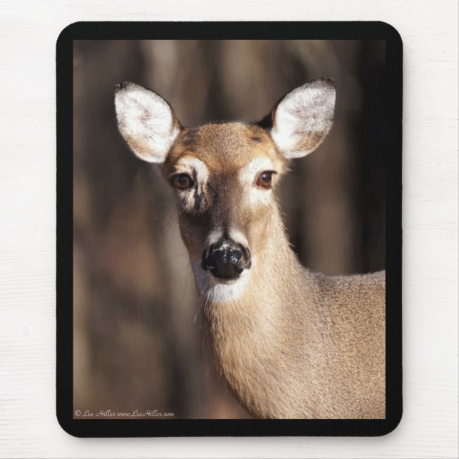 Mousepad Retrato de uma Corça de Cauda Branca de Vida Selva (Frente)