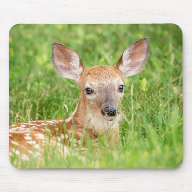 Mousepad Retrato de uma Fawn (veado branco) (Frente)