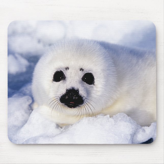 Mousepad Retrato de uma Pup Harp Seal (Frente)