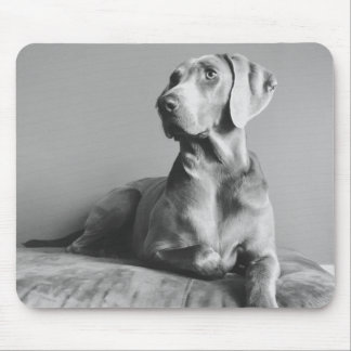 Mousepad Retrato de Weimaraner