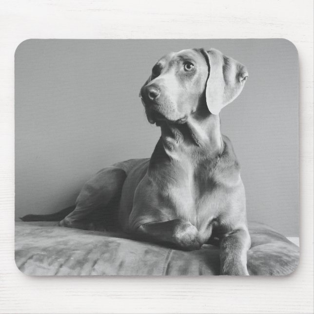 Mousepad Retrato de Weimaraner (Frente)