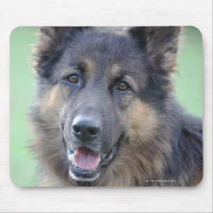 Mousepad Retrato do alemão Sheppard