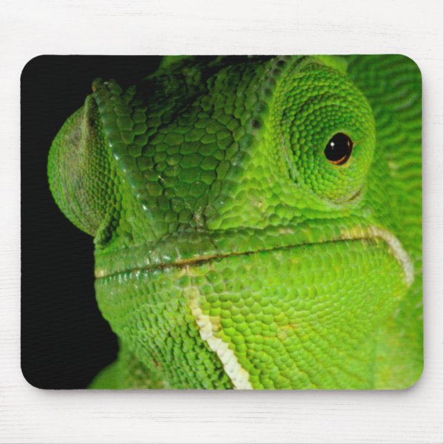 Mousepad Retrato Do Camaleão De Pescoço Flap (Frente)