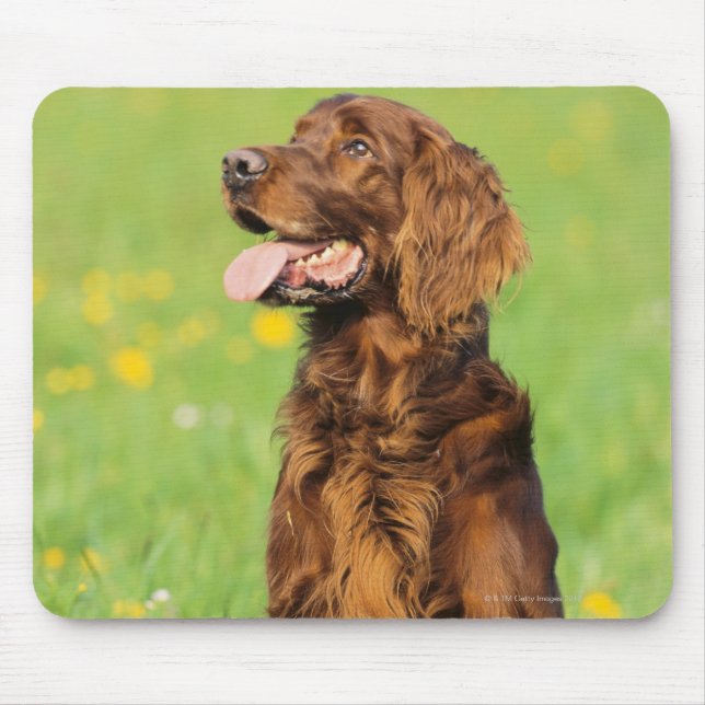 Mousepad Retrato do Cão 2 (Frente)
