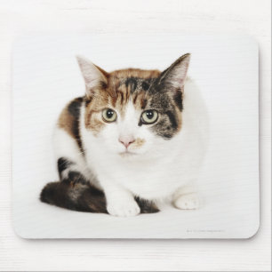 Mousepad Retrato do gato de chita