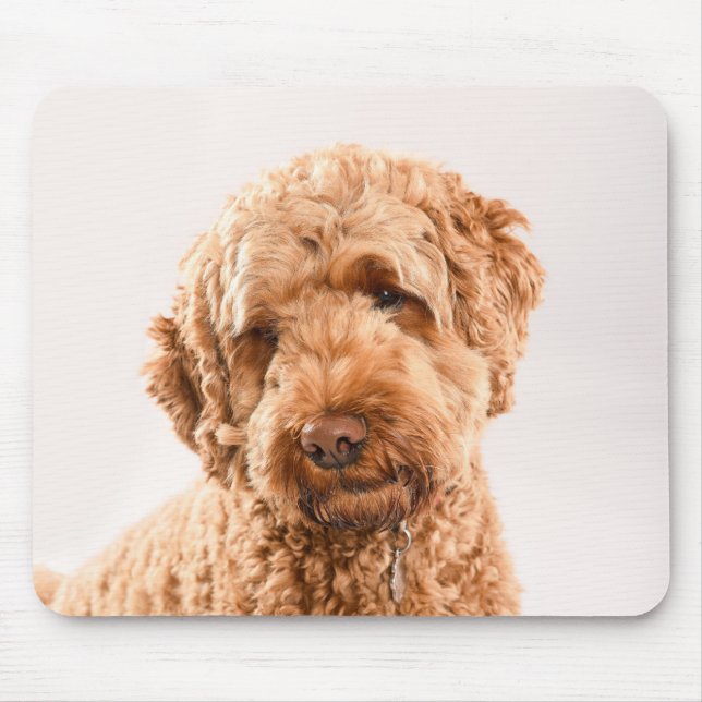 Mousepad Retrato do Goldendoodle Studio (Frente)