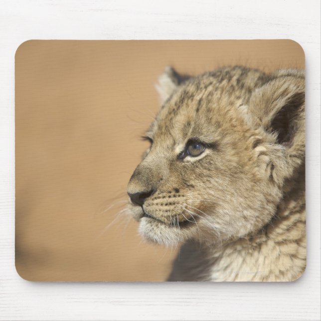 Mousepad Retrato do leão (Panthera Leo), Namíbia (Frente)