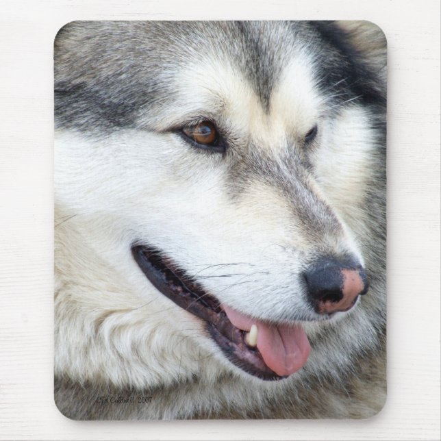 Mousepad Retrato do lobo (Frente)