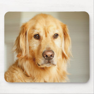 Mousepad Retrato do Ouro Retriever