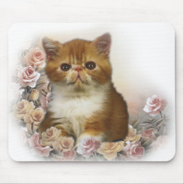 Mousepad Retrato do persa da concha de tartaruga