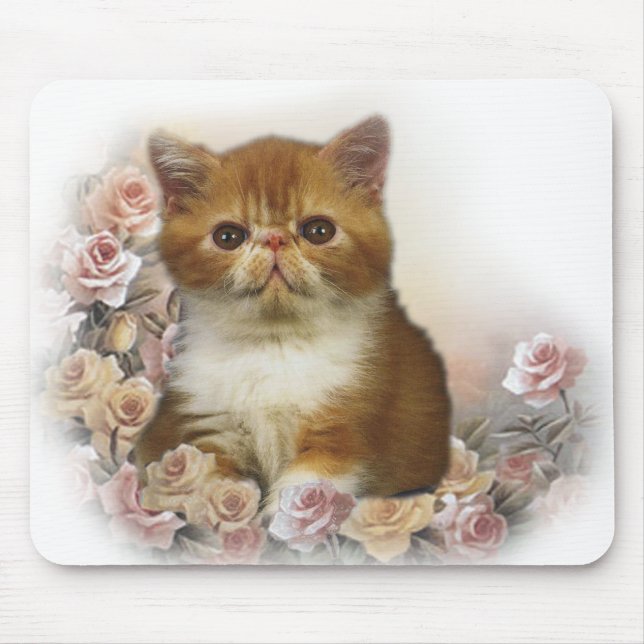 Mousepad Retrato do persa da concha de tartaruga (Frente)