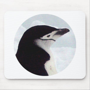 Mousepad Retrato do pinguim de Chinstrap