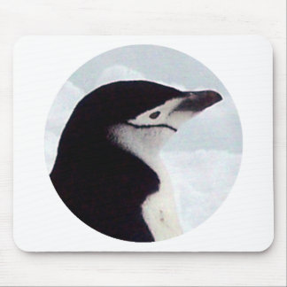 Mousepad Retrato do pinguim de Chinstrap