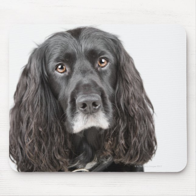 Mousepad Retrato estúmulo de spaniel (Frente)