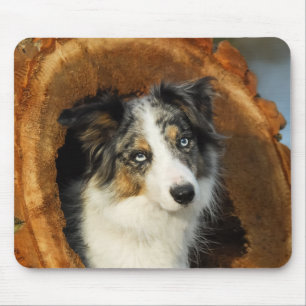 Mousepad Retrato fofo de Cachorro da Borda