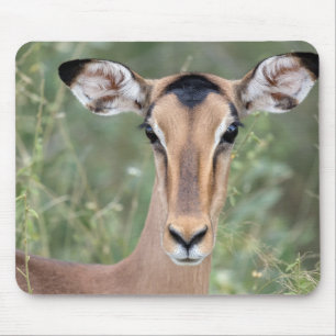 Mousepad Retrato Impala