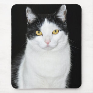 Mousepad Retrato preto e branco do gato