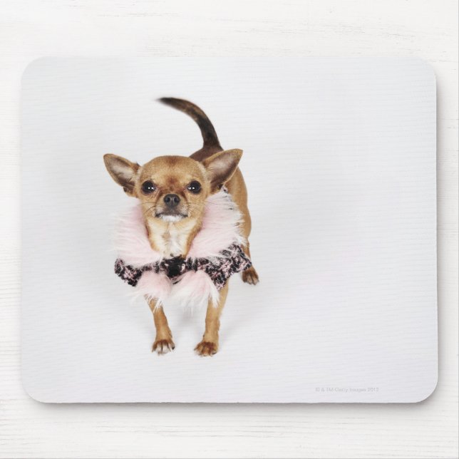 Mousepad Retrato Quirky de um Teacup Chihuahua (Frente)