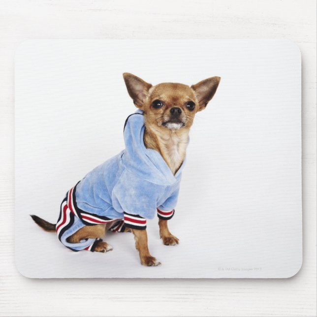 Mousepad Retrato Quirky de um Teacup Chihuahua 2 (Frente)