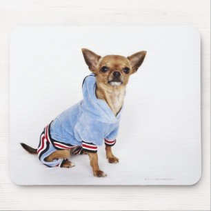 Mousepad Retrato subtil de uma chihuahua 2 do Teacup