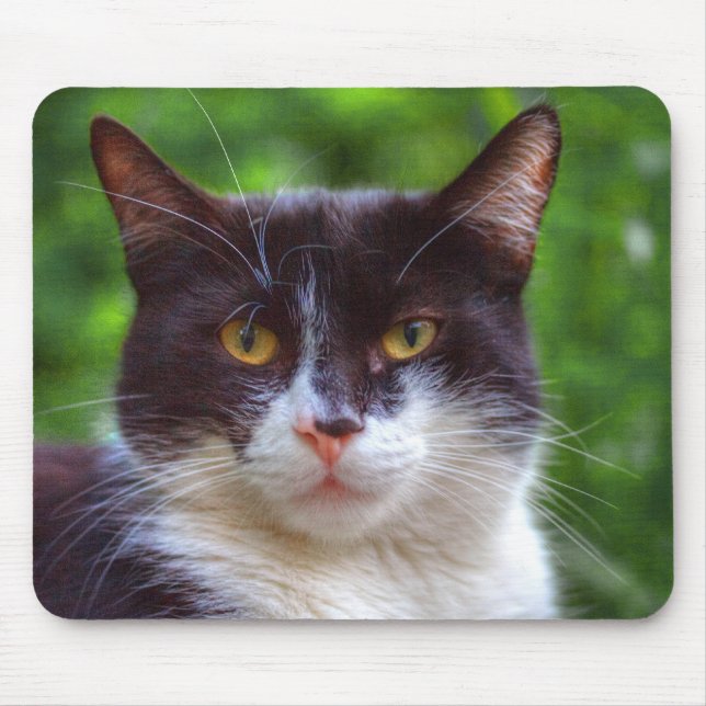 Mousepad Retrato Tuxedo (Frente)