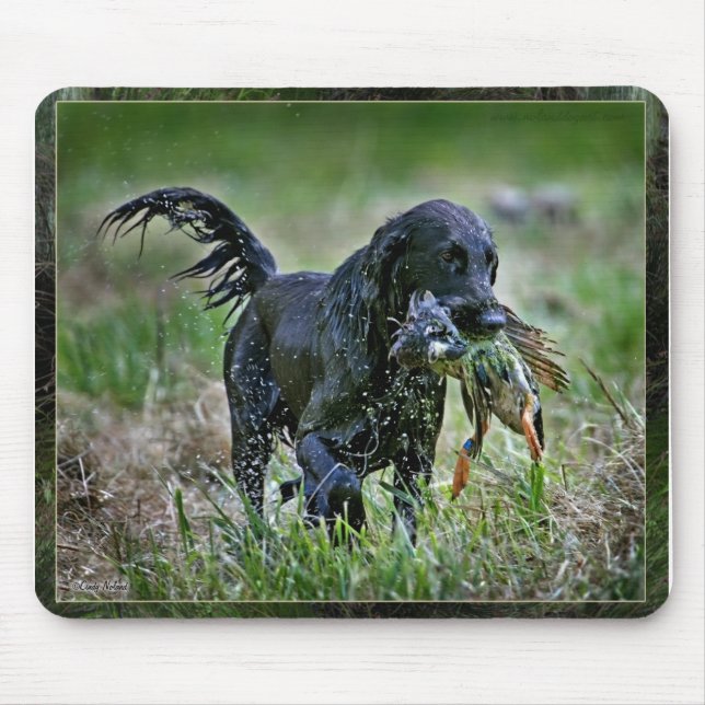 Mousepad Retriever de Flatcoated com pato (Frente)