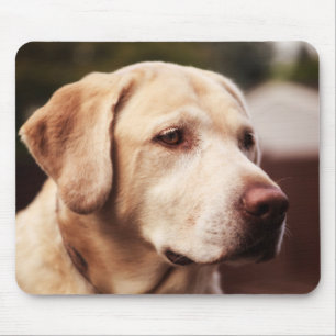 Mousepad Retriever de Labrador