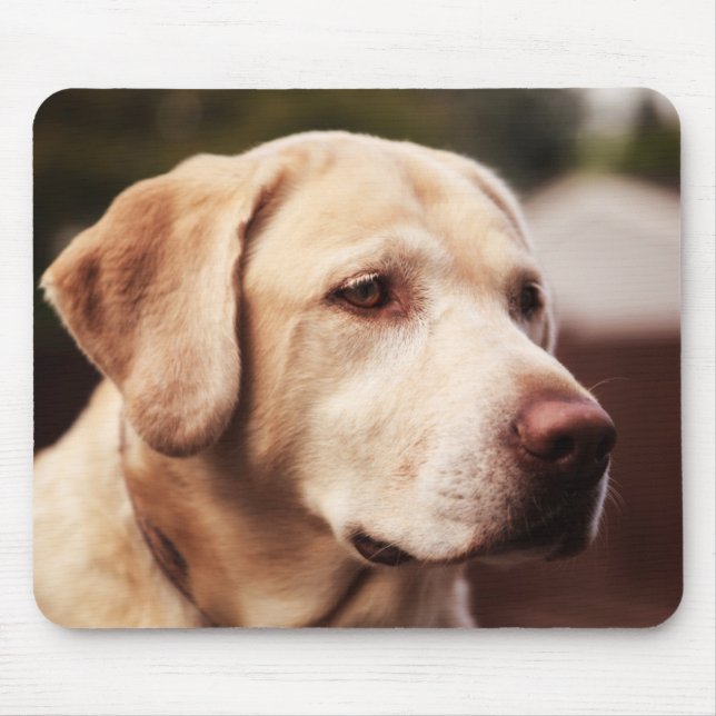 Mousepad Retriever de Labrador (Frente)