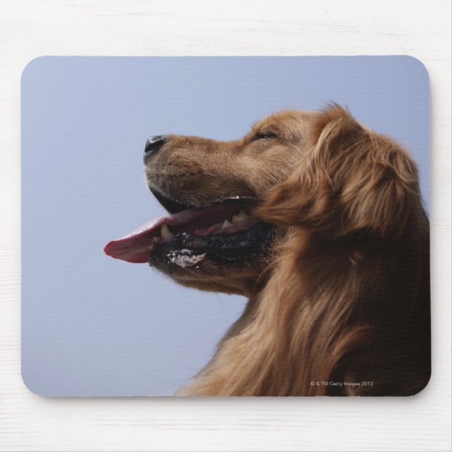 Mousepad Retriever de ouro 6 (Frente)