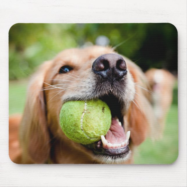 Mousepad Retriever de ouro com esfera de Tênis (Frente)