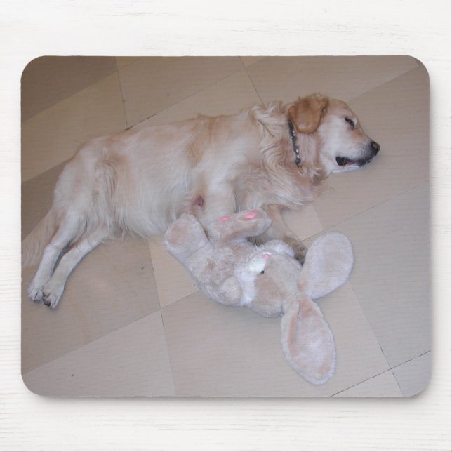 Mousepad Retriever De Ouro De Dormência Bonita Com Coelho D (Frente)