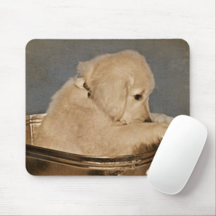 Mousepad Retriever de ouro na Lavadora Retroativa