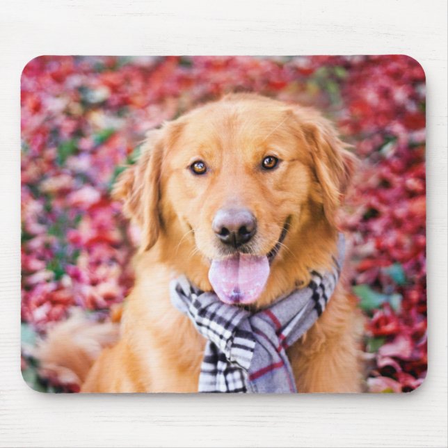 Mousepad Retriever De ouro No Scarf (Frente)